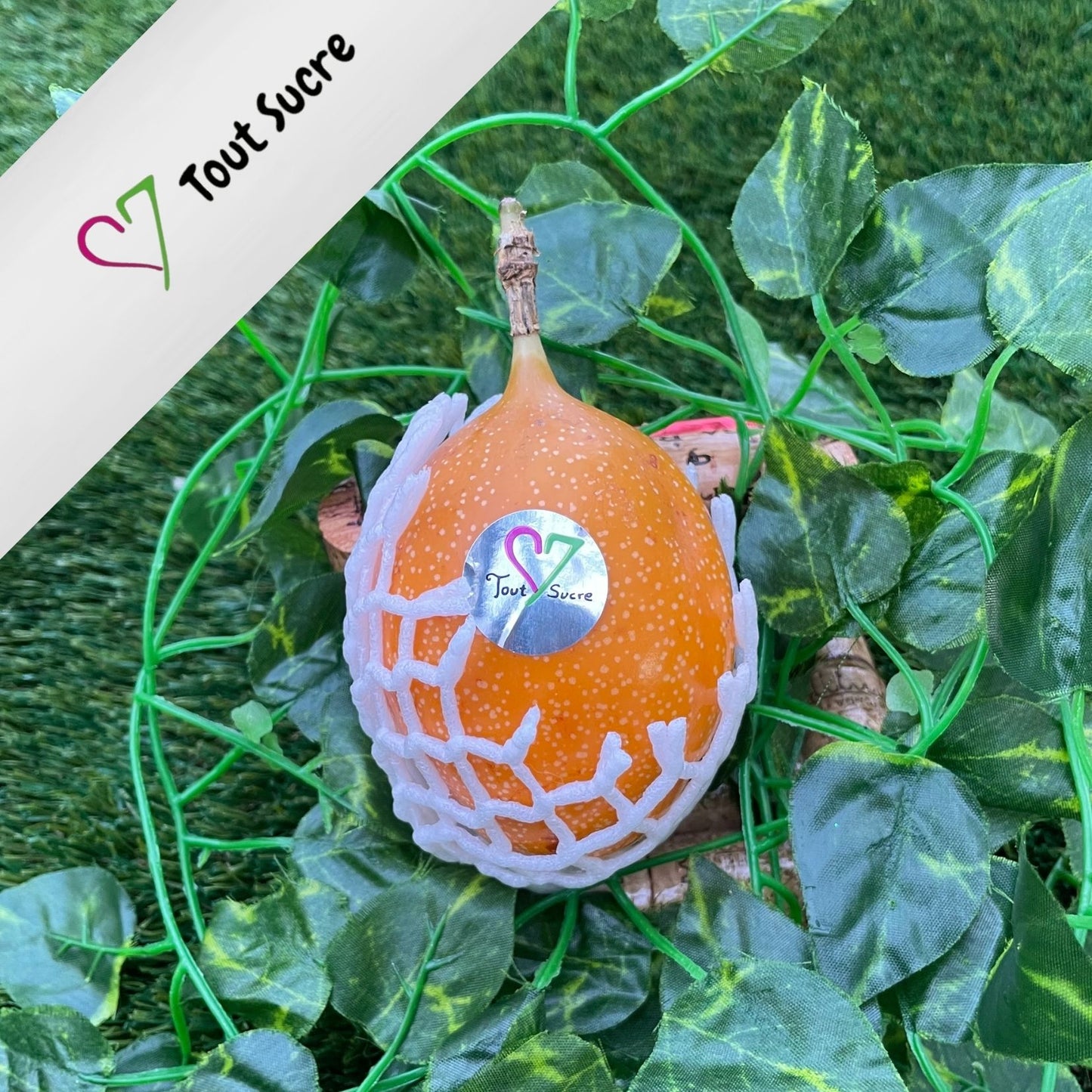GRANADILLA