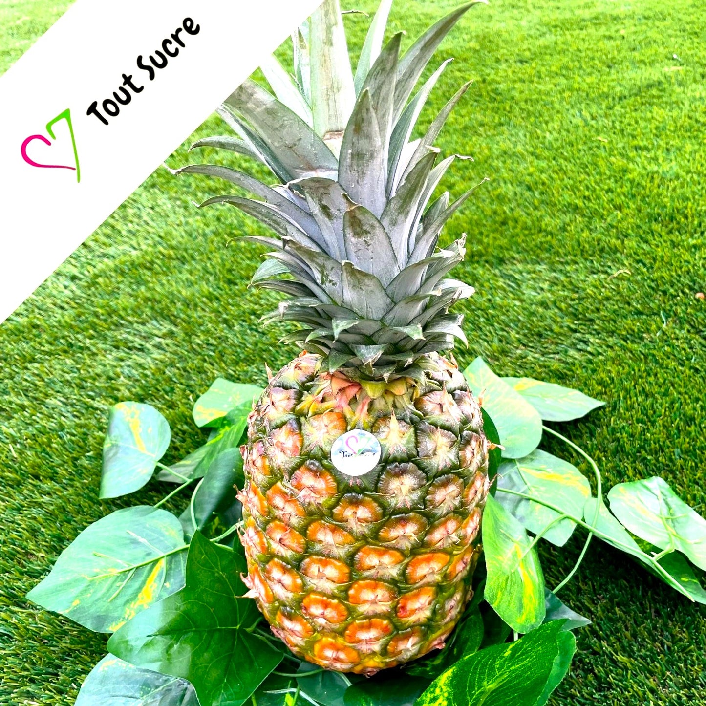 PIÑA COLOR (extra de sabor)