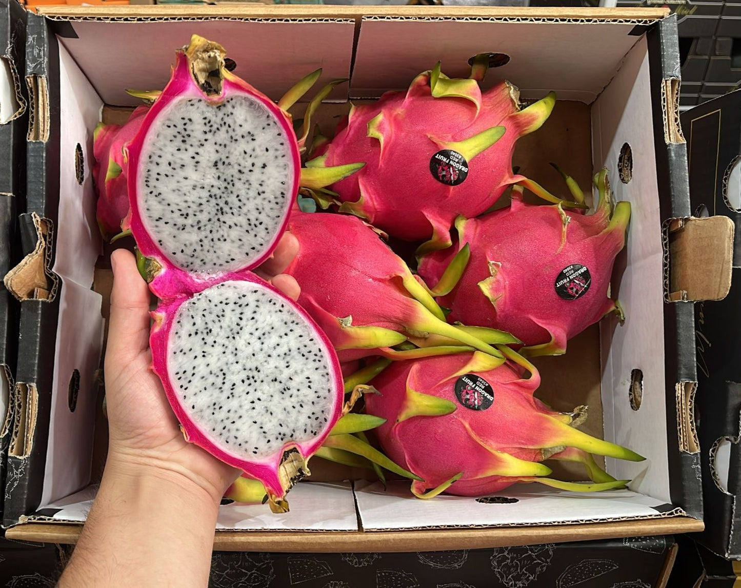 PITAHAYA BLANCA