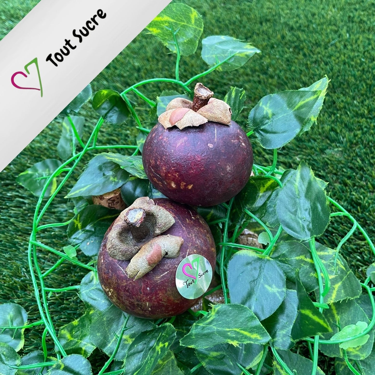 MANGOSTAN
