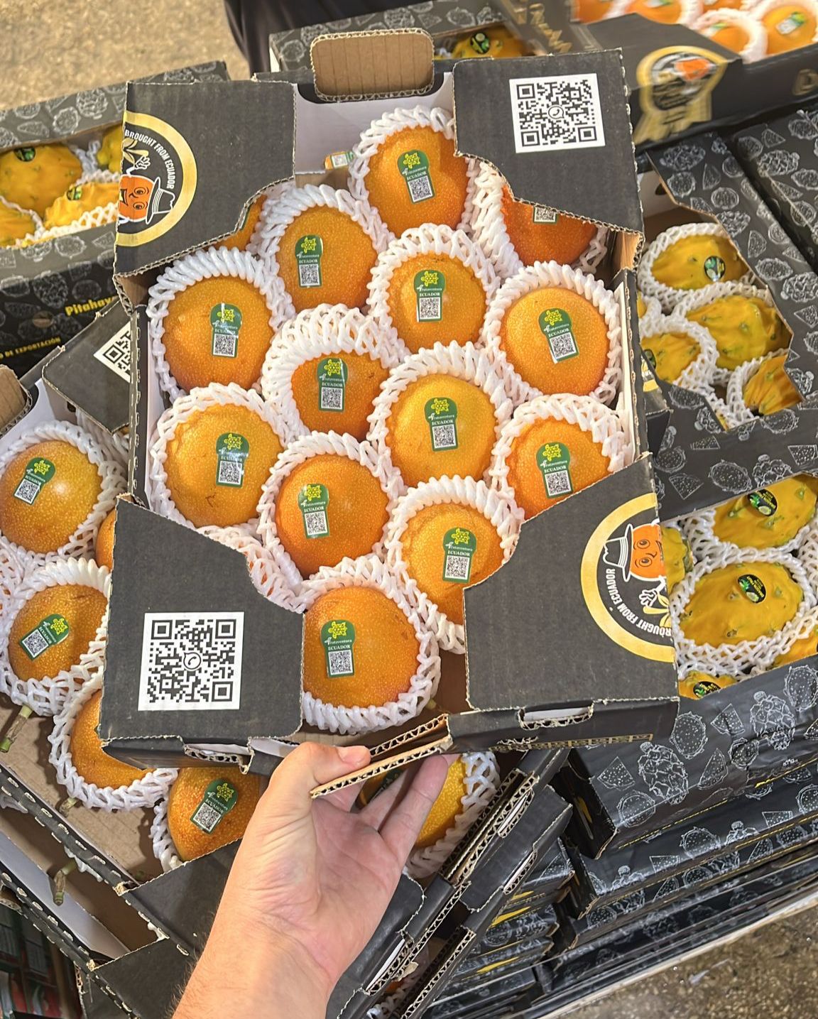 GRANADILLA