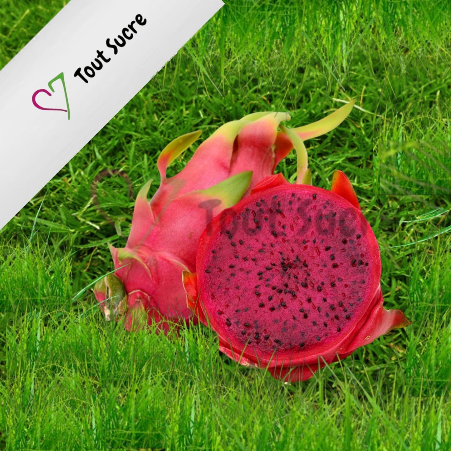 PITAHAYA ROJA