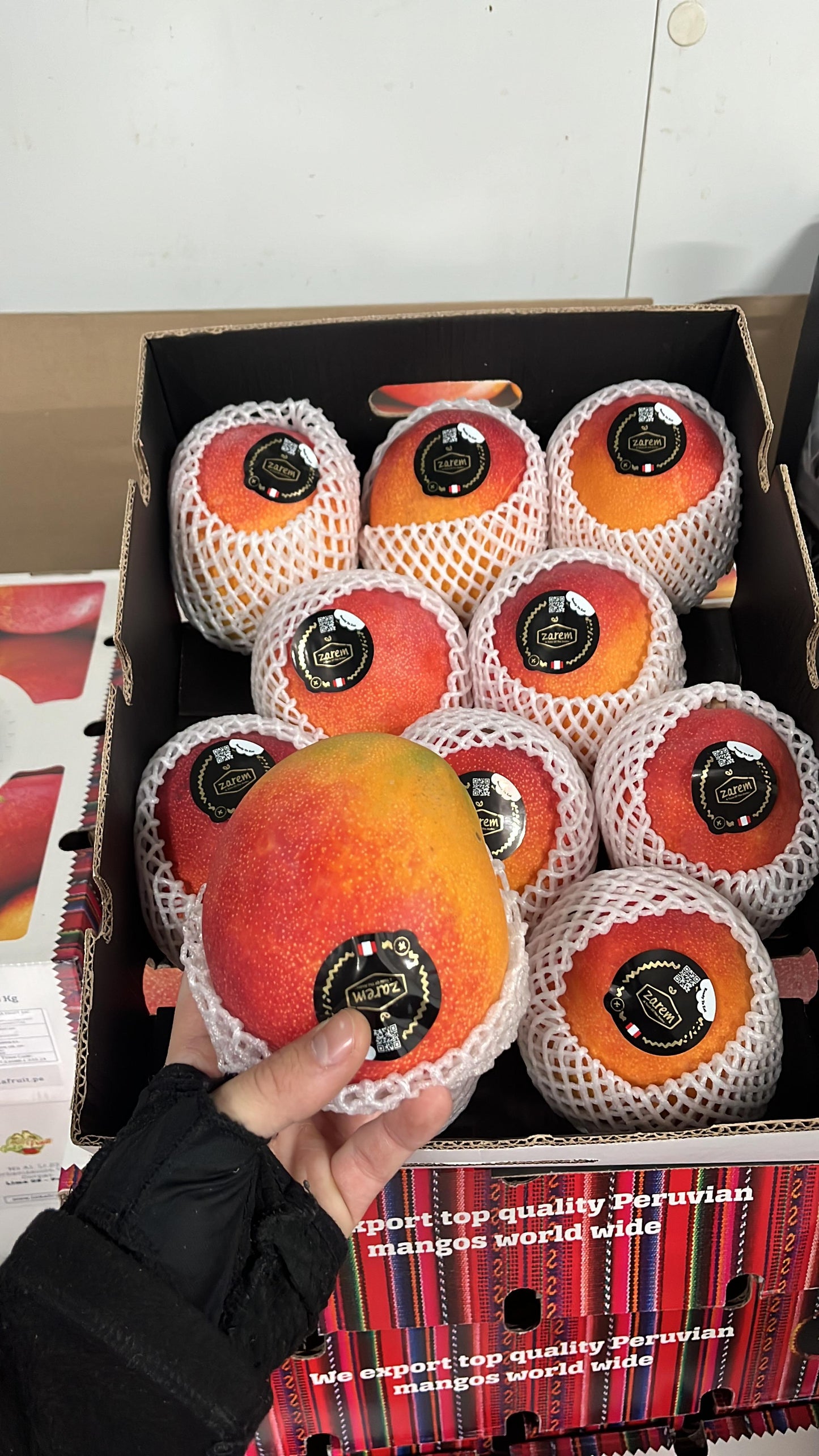 MANGO ZAREM HADEN O KENT AEREO