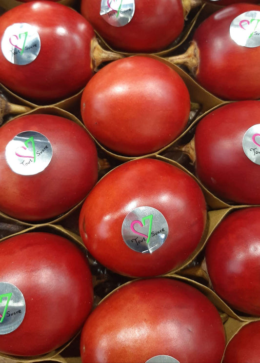 TAMARILLO