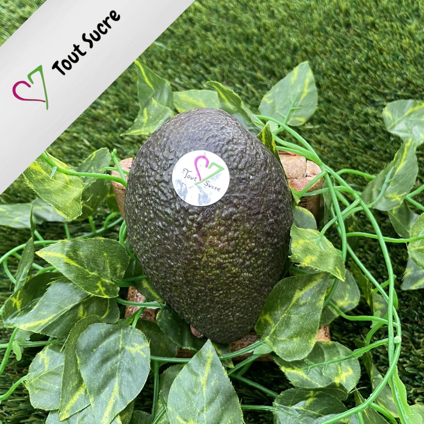 AGUACATE HASS