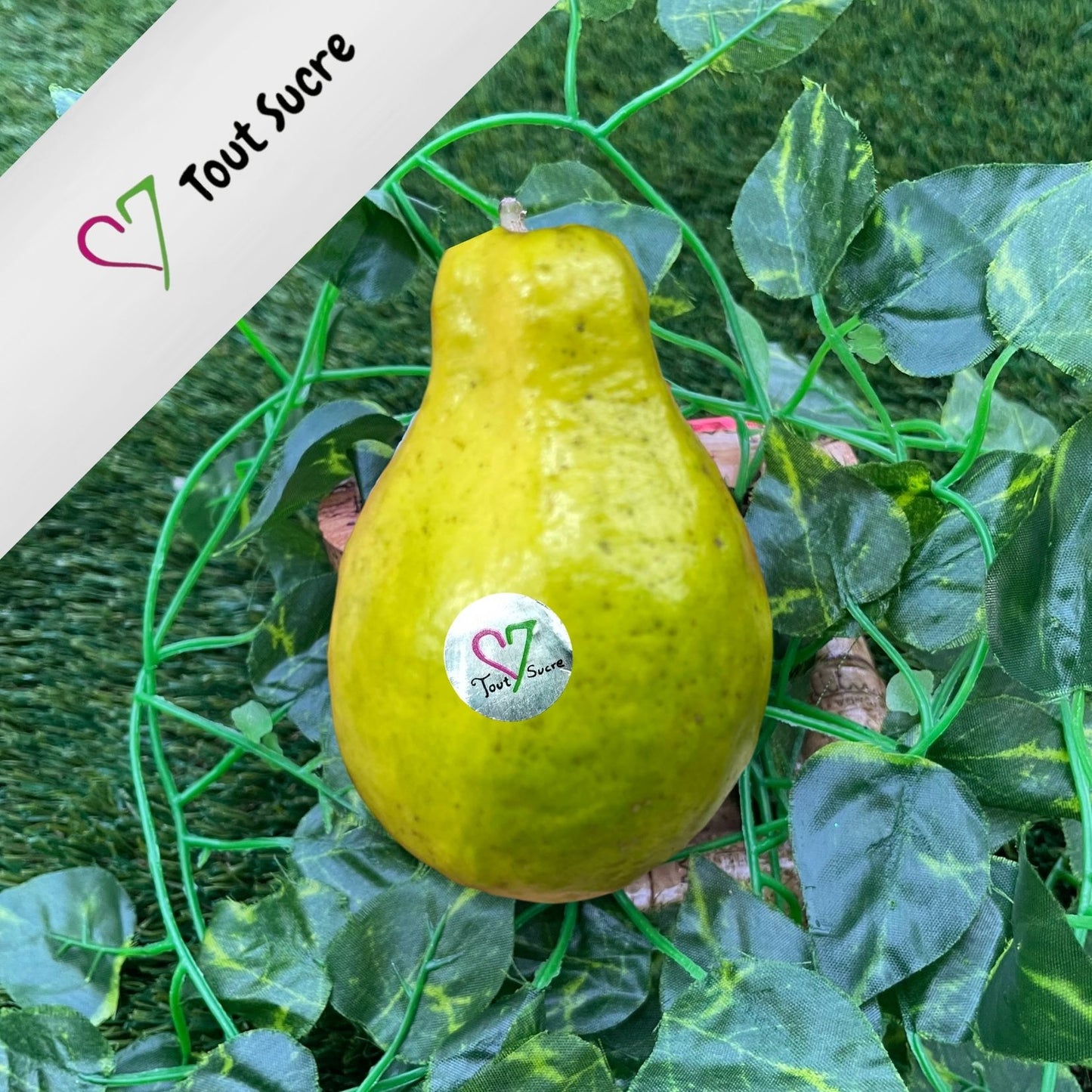 GUAYABA