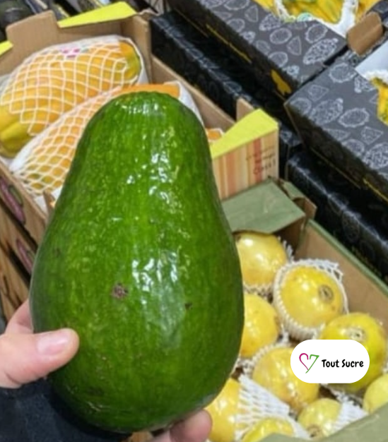 AGUACATE GIGANTE