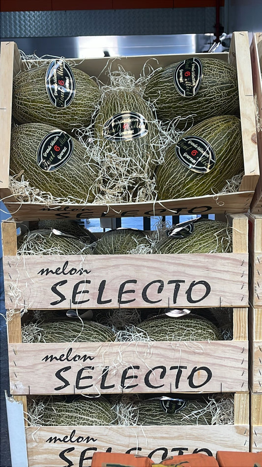 MELON TOUT MIEL