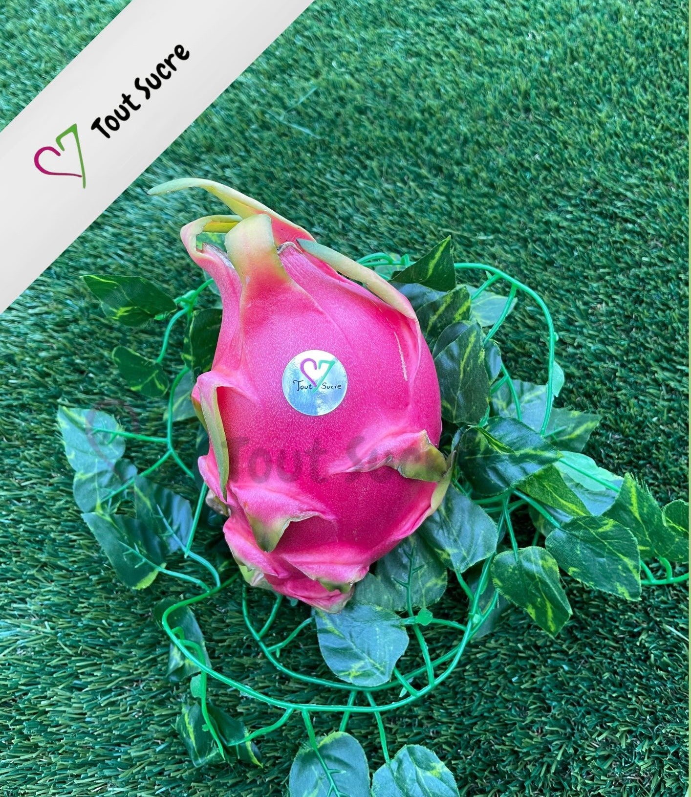 PITAHAYA BLANCA