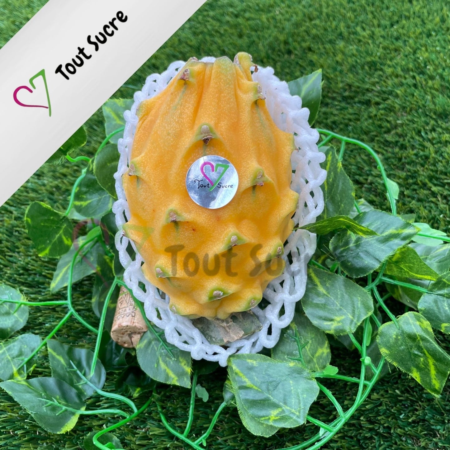 PITAHAYA AMARILLA
